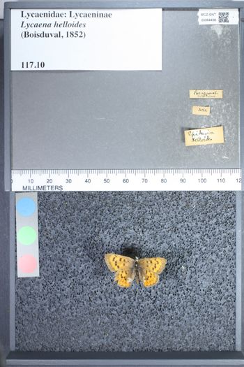 Media type: image;   Entomology 64456